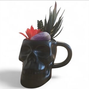 Black Skull Mug Planter Cup Pink Green Succulents 2oz Amethyst Stone